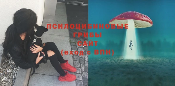 таблы Арсеньев