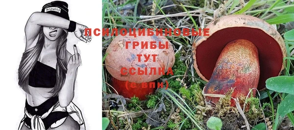таблы Арсеньев