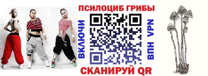 Псилоцибиновые грибы Psilocybe  Новоалтайск 