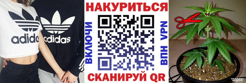 Конопля OG Kush  Новоалтайск 